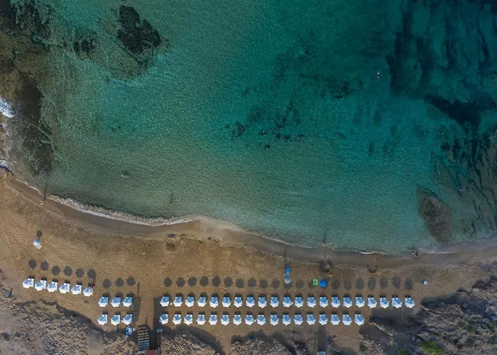 Ifestos Kings * Paphos